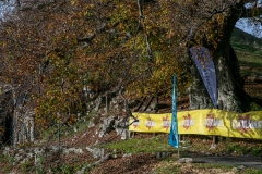 web-03-_MG_1728
