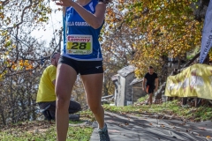 web-313-_MG_2060