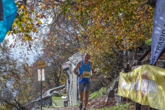 web-314-_MG_2061