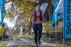 web-331-_MG_2079