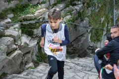 web-145-_MG_1282
