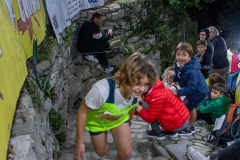 web-201-_MG_1383