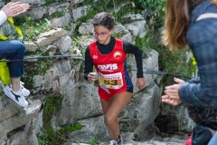 web-238-_MG_1447