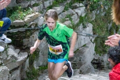 web-274-_MG_1515