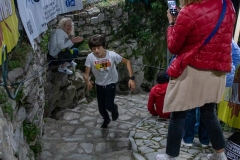 web-311-_MG_1591