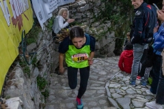 web-339-_MG_1650