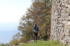 IMG_6890-R